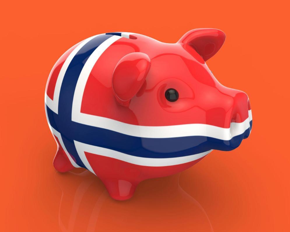 Velký norský vzor pro váš rodinný rozpočet: Jak investovat s rozmyslem a pro budoucnost